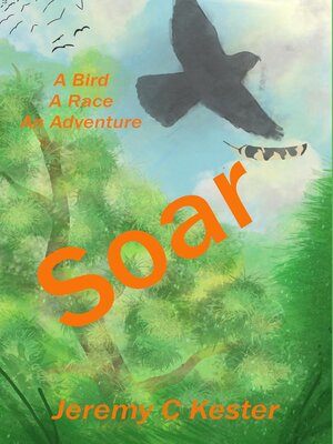 cover image of Soar